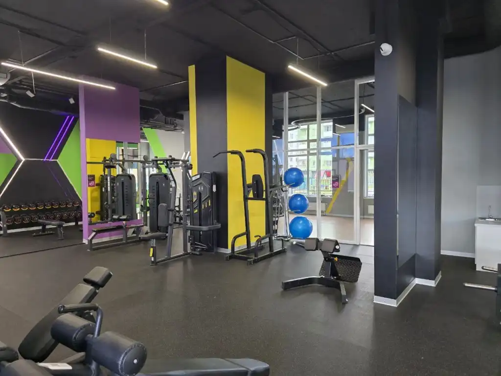 Без названия