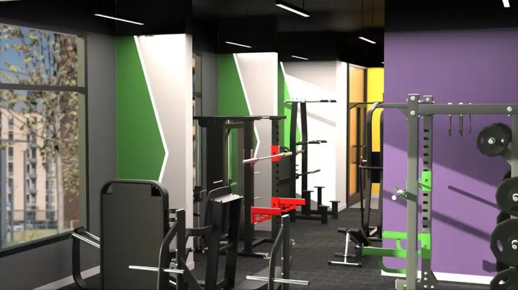 Зона свободных весов