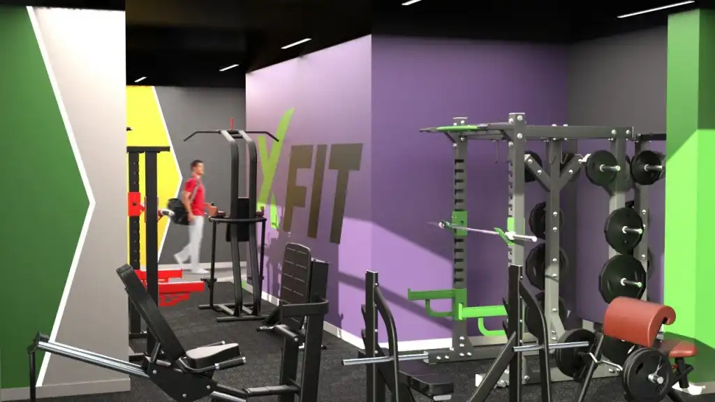 Зона свободных весов