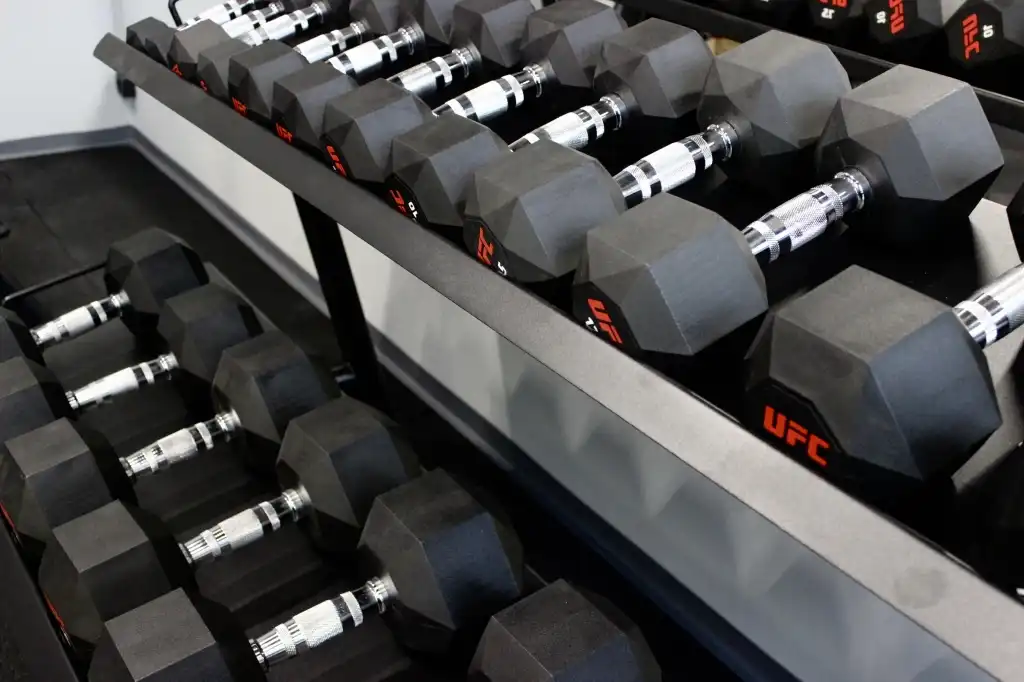 Зона свободных весов