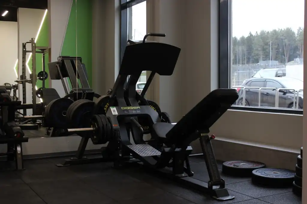 Зона свободных весов