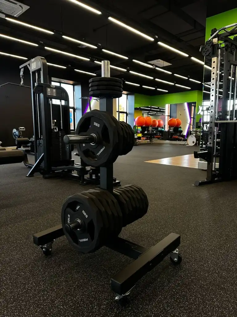 Без названия