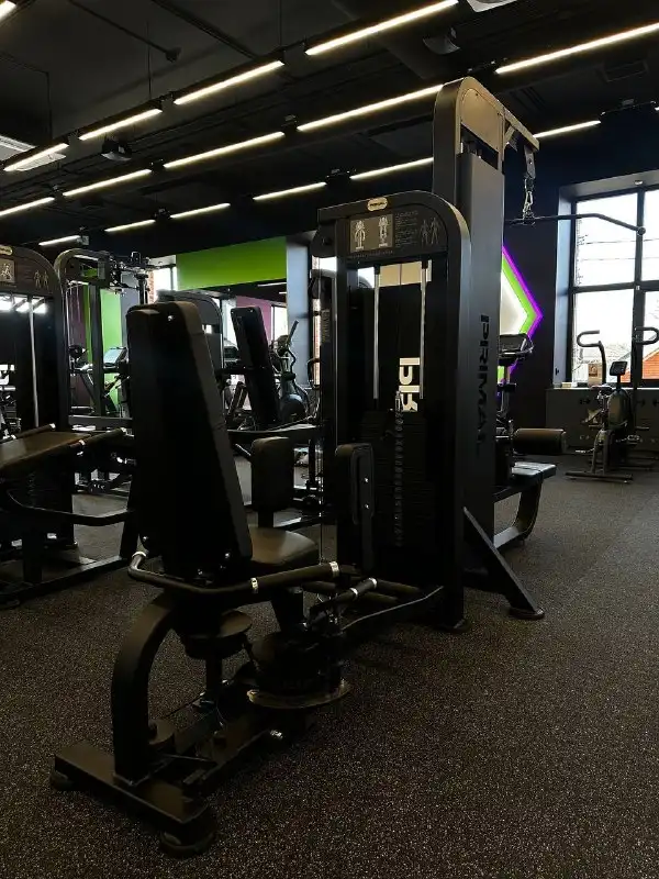 Без названия